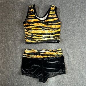 Tawny Tiger Striped Velvet Crop Top/Shorts Dance Set M New